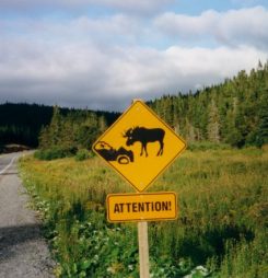 Self driving cars, doctors, moose & EMRs