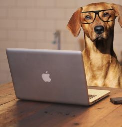 Doctors influence vs doctor authority online