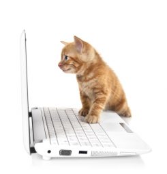 Reasons to love our medical software and data industry