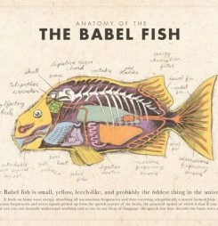 Babel fish, FHIR and general practitioners