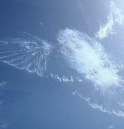 When BP goes cloud a new era starts: 2020 Summit