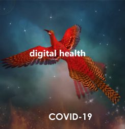 ADHA’s Bettina McMahon on COVID’s digital health revolution