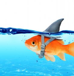 Navigating the ‘goldrush’ of digital health apps