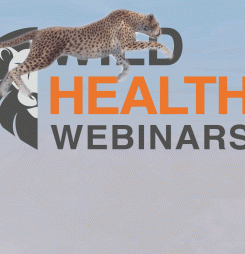 Watch Wild Health’s First Online Event Series for Free