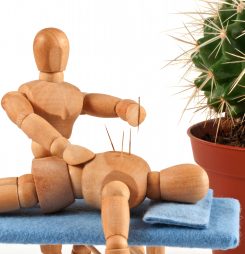 Pandemic woes for wellbeing practitioners