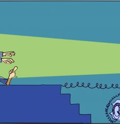 Are we idiots sleepwalking through a crisis? Or can we learn and adapt?